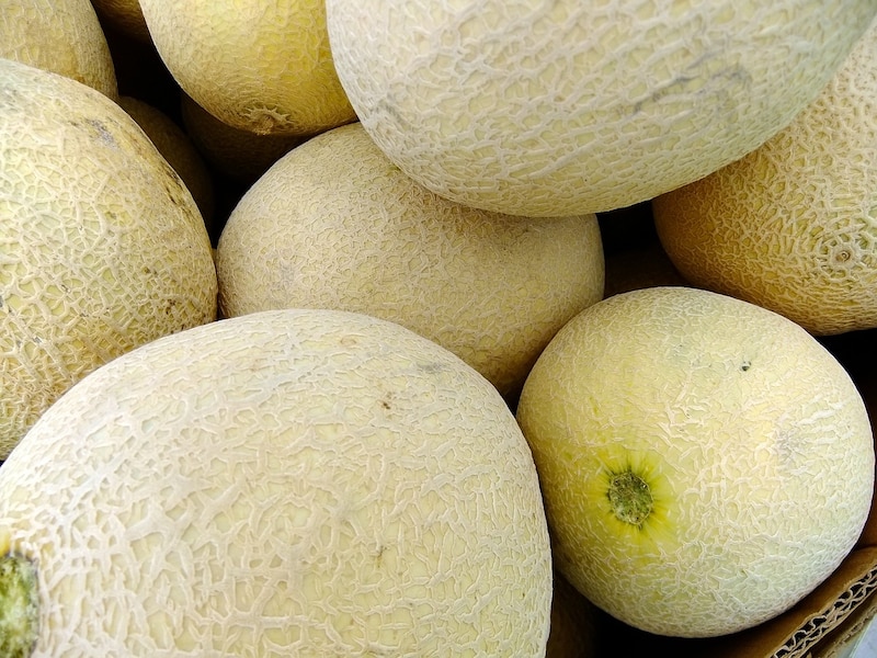 Melones