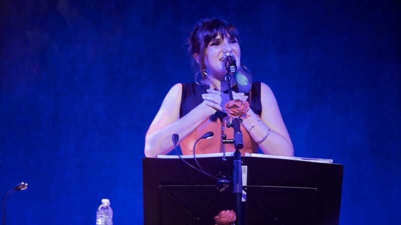 Cantante en concierto