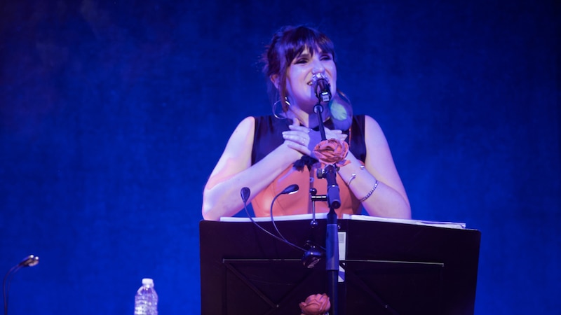 Cantante en concierto
