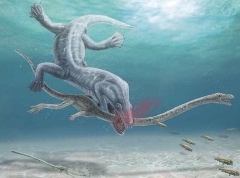 Reptil prehistórico atacando a otro reptil prehistórico