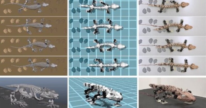 Un robot lagarto que imita el movimiento de los reptiles