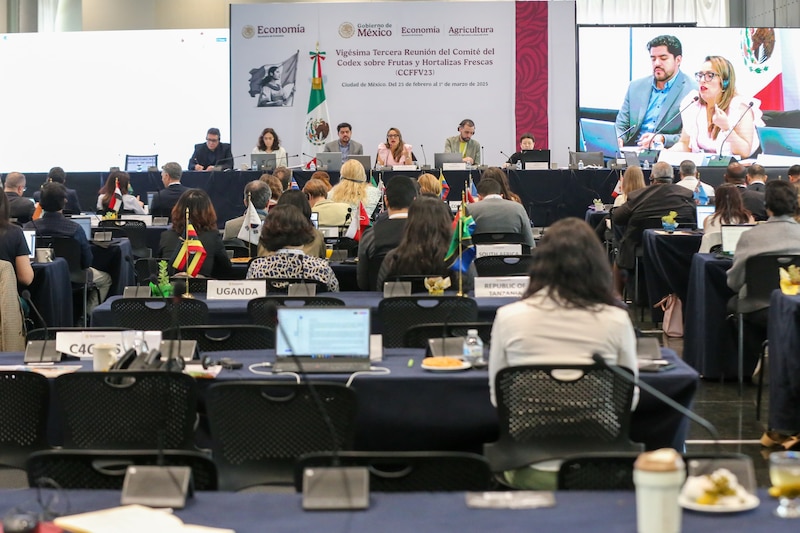 Delegados durante la 23ª Sesión del Comité Codex sobre Frutas y Hortalizas Frescas en la Ciudad de México