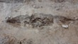 Un perro acompañó a una mujer en una barca funeraria vikinga