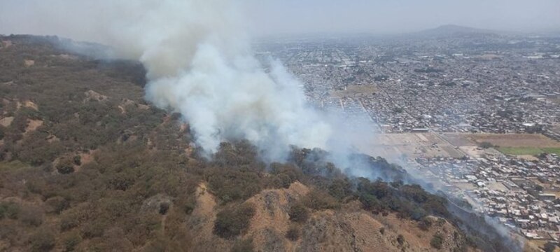 Incendio forestal en las afueras de la ciudad