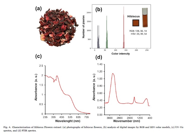 Gráficos de espectros UV-Vis y FTIR del extracto de flor de jamaica, análisis RGB-HSV y fotografía de flores secas, empleados en estudio del tequila rosado