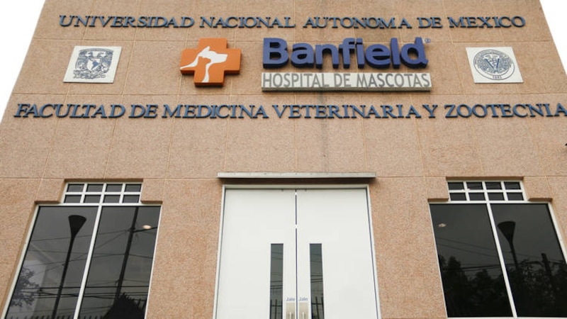 Hospital veterinario UNAM Banfield