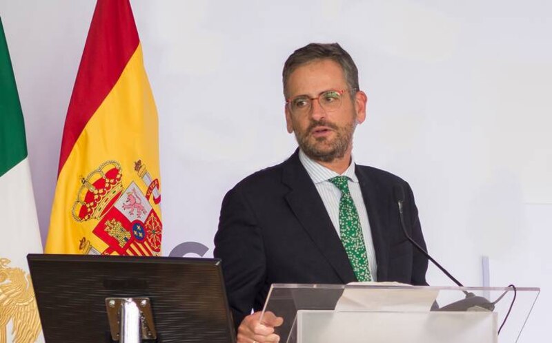 El ministro de Asuntos Exteriores, José Manuel Albares, comparece en el Congreso de los Diputados