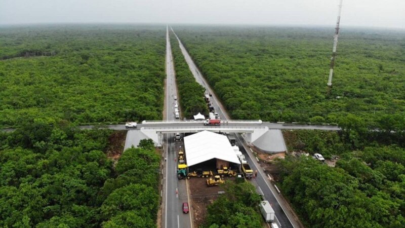 Construcción de la carretera en medio de la selva