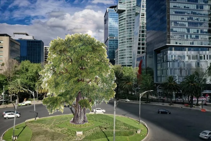 Un árbol en medio de una glorieta en la ciudad