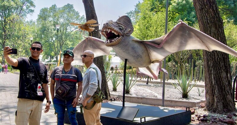 ¡Cuidado con el murciélago!