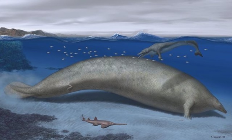 Liopleurodon, el depredador marino más grande de todos los tiempos
