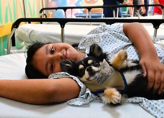    Terapias asistidas con perros fortalecen bienestar emocional de pacientes en el INP