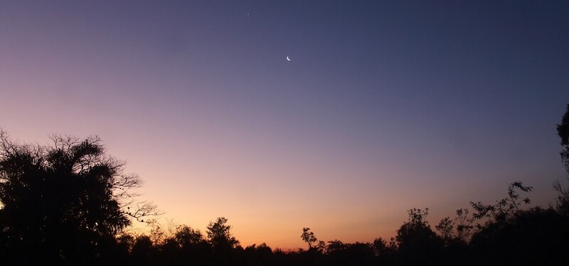 Atardecer en el bosque
