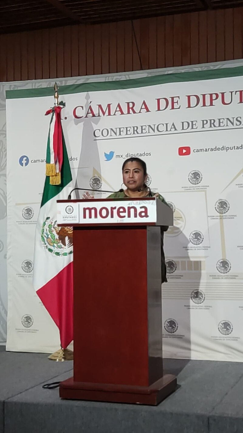 La diputada morenista, Yeidckol Polevnsky, durante una conferencia de prensa en la Cámara de Diputados.