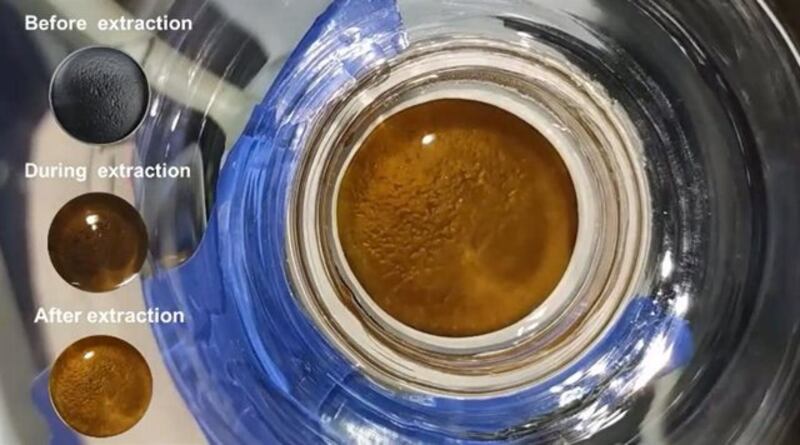 Extracción de ADN