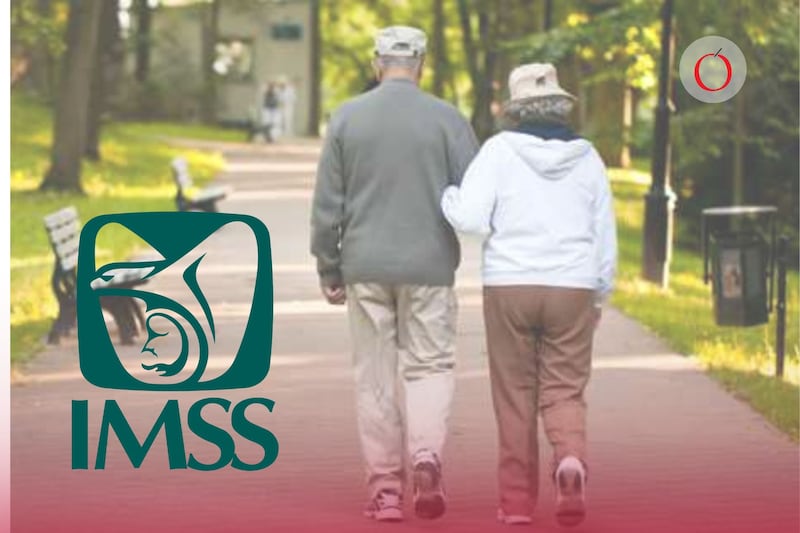 Pensión IMSS