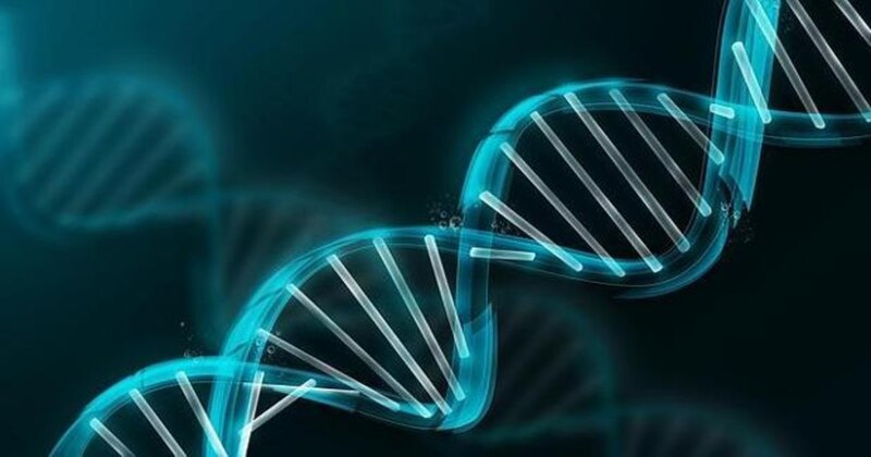 Estructura del ADN
