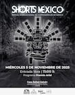 Continúan las proyecciones del 20° SHORTS México en la Casa Rafael Galván de la UAM