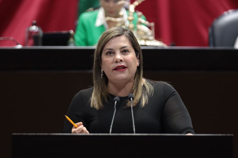La diputada mexicana Ana Lilia Herrera Anzaldo habla en el podio de la Cámara de Diputados.