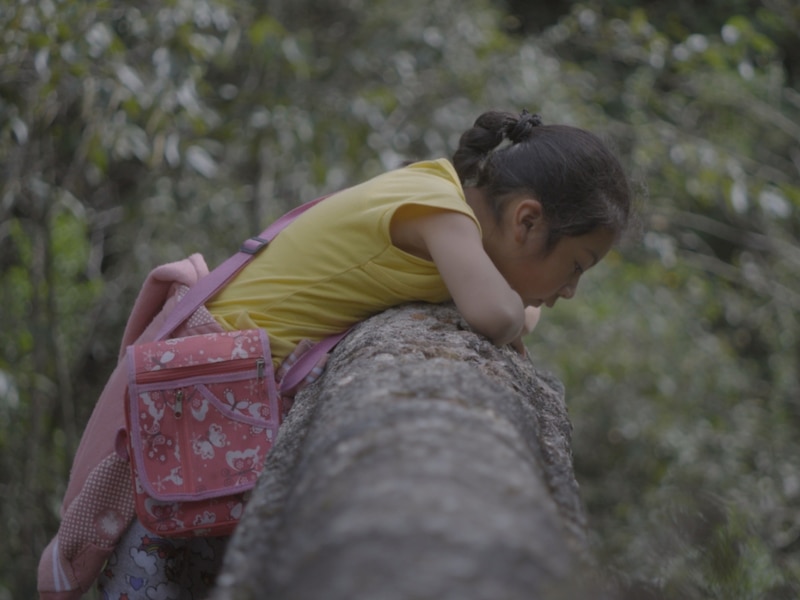 Niña en el bosque