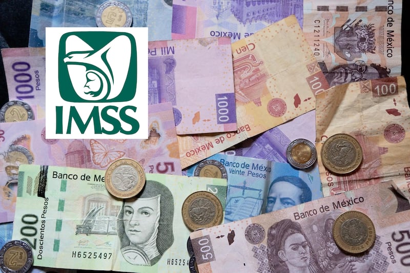 Pensión Mínima Garantizada IMSS por Ley 73