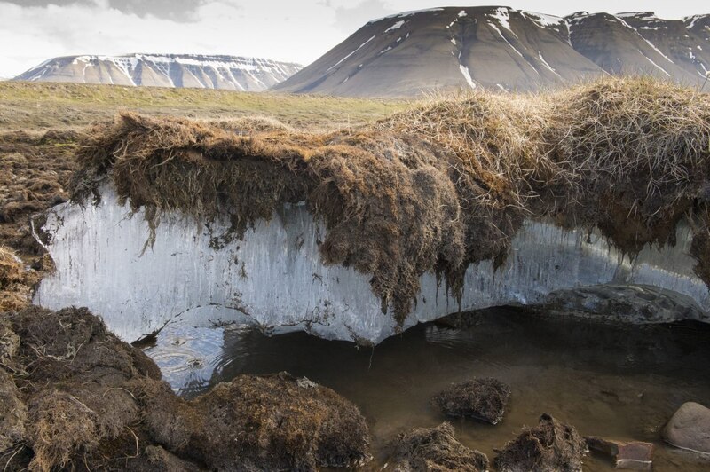 La belleza de la naturaleza