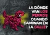 La UDLAP presenta la obra de teatro ¿A dónde van los perros cuando caminan en la calle?