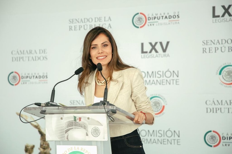 La diputada María Eugenia Hernández Pérez durante una sesión en el Congreso de la Ciudad de México.