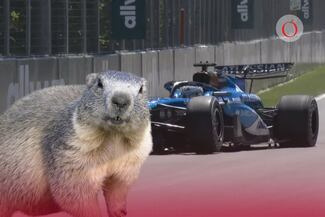 GP de Canadá 2026: Alex Albon abandona las clasificatorias para el sprint tras incidente con marmota en la pista
