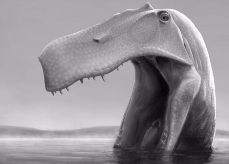 Un dinosaurio con la boca abierta en el agua