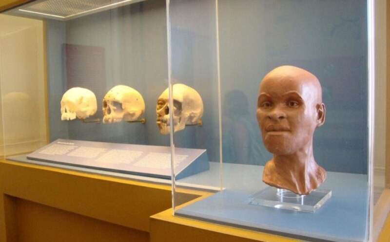 Evolución del ser humano