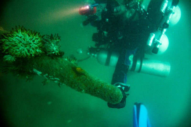Buzo inspecciona un arrecife de coral.