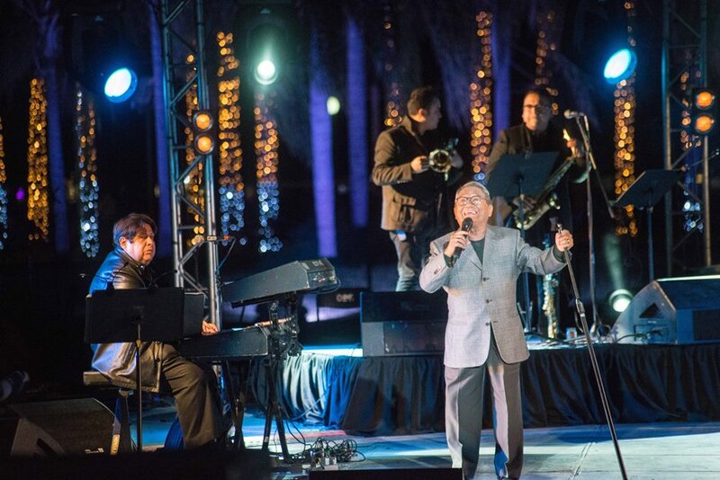 Un cantante actúa en un concierto.