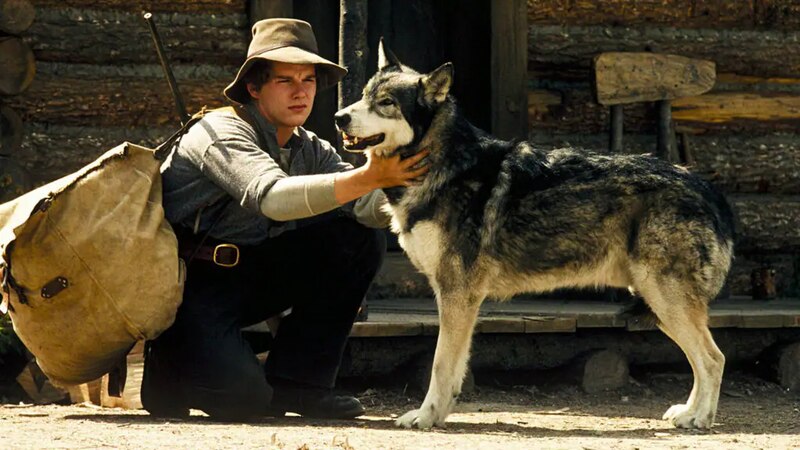 Lobo