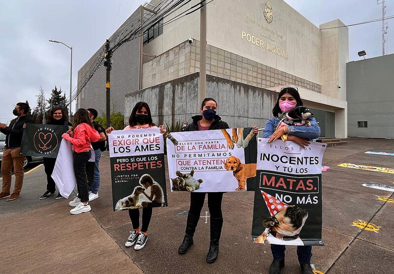 Protesta contra el maltrato animal