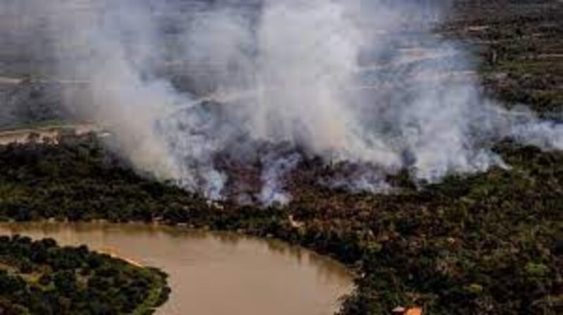 Incendios forestales en la Amazonía