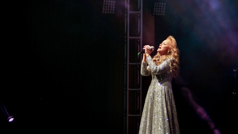 Cantante en concierto