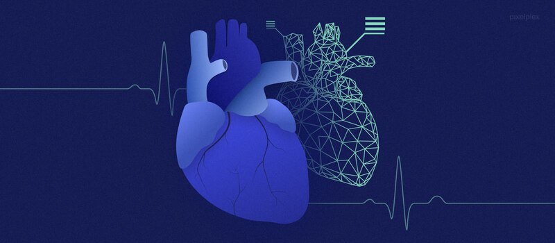 Corazón humano