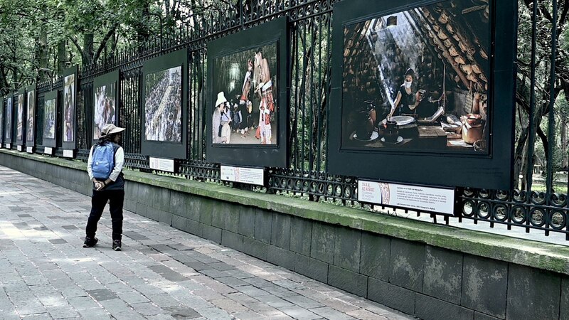 Exposición de fotografías en el parque
