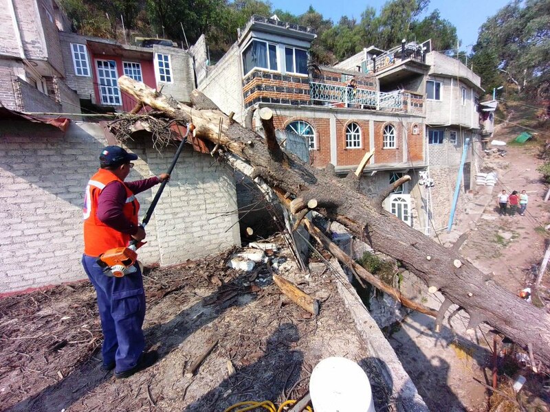 Un trabajador corta las ramas de un árbol que cayó sobre una casa