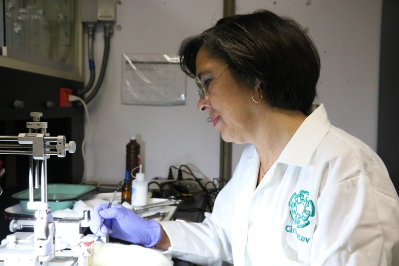 Científica trabajando en el laboratorio