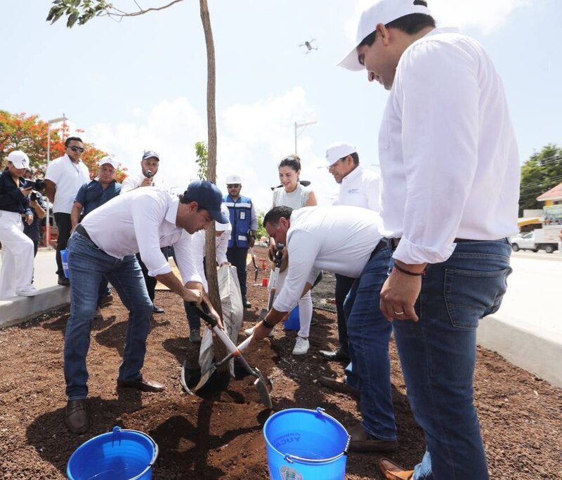 Siembra de árboles en la ciudad de México