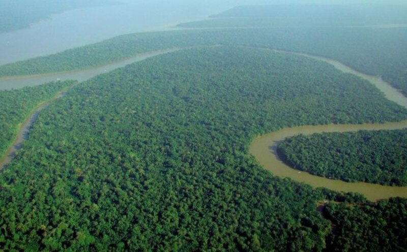 La selva amazónica