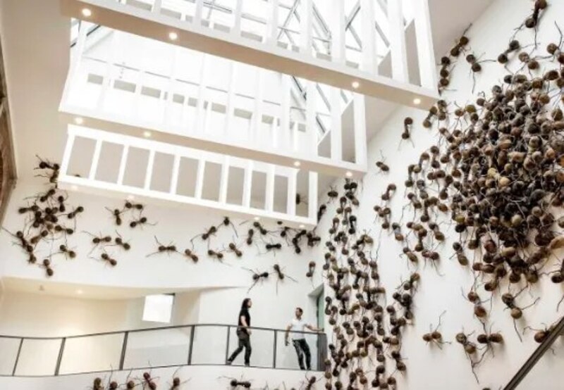 Hormigas en el museo