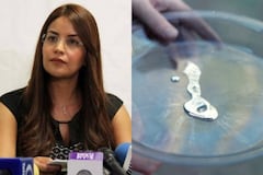 Caída del Mencho: ¿Quién es Alejandra Pulido, la panista que ayudaba al CJNG a traficar mercurio?