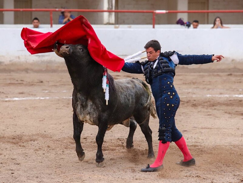 Toreador esquivando una embestida del toro