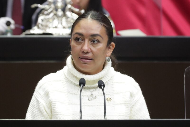 La diputada federal por Morena, María Clemente García Moreno, durante una sesión en el pleno de la Cámara de Diputados.