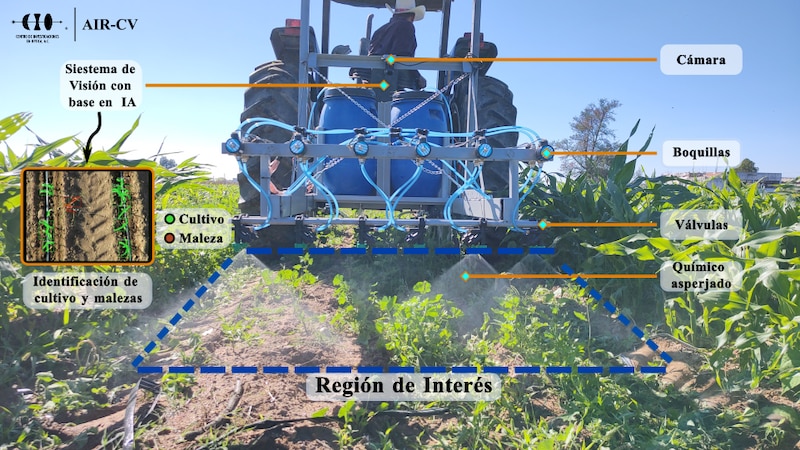 Sistema de visión con base en IA para la identificación de cultivo y malezas