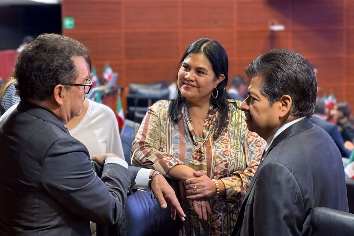 ¿Rebelión? senadores de Morena cuestionan coordinación de Adán Augusto