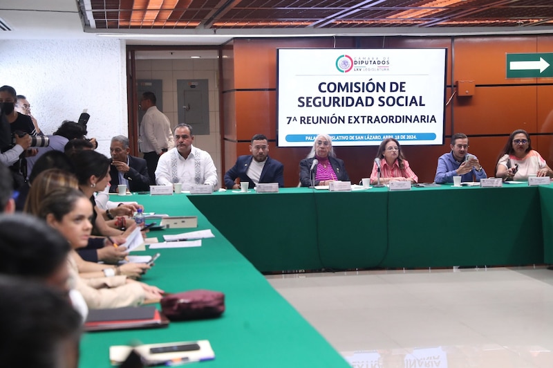 Reunión de la Comisión de Seguridad Social de la Cámara de Diputados